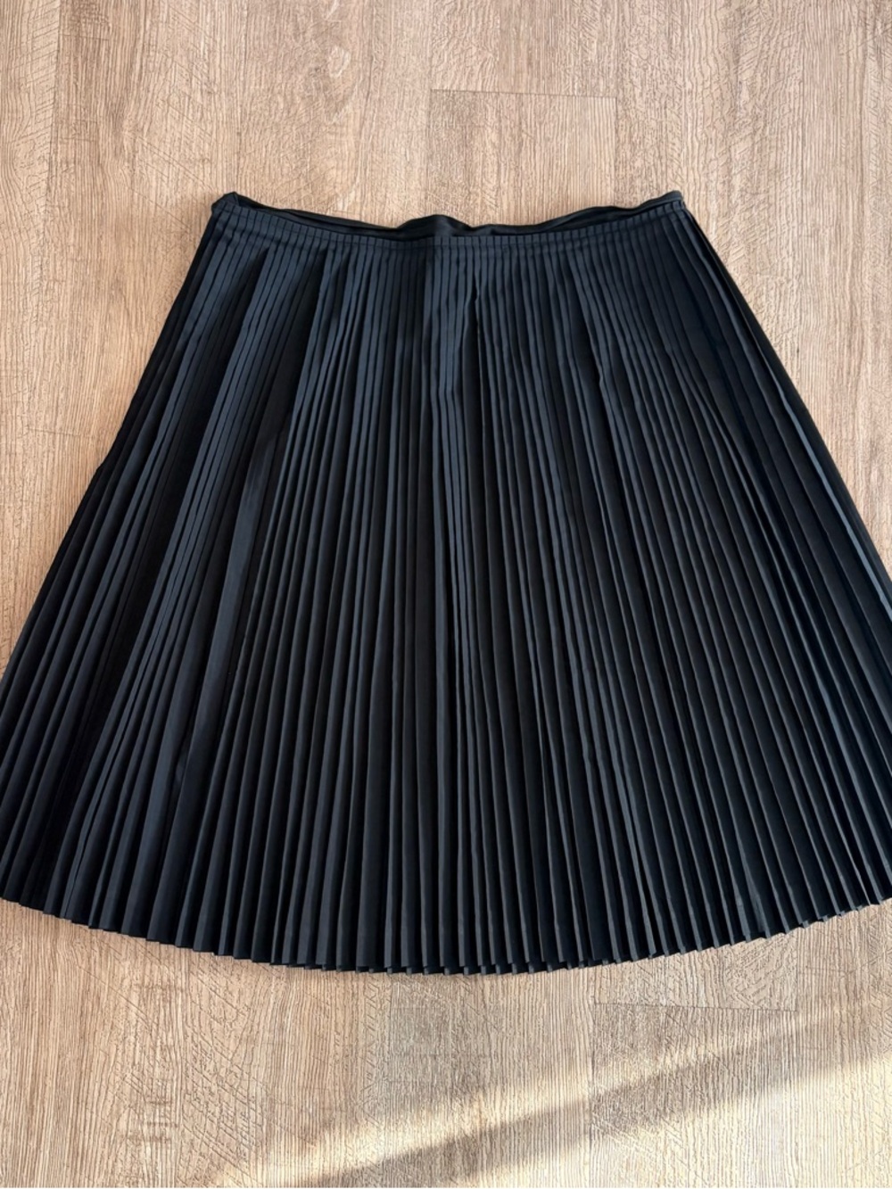 Banana Republic Black Pleated Circle Skirt